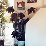 Panormitis House