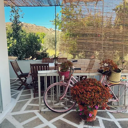 Panormitis House Apartman