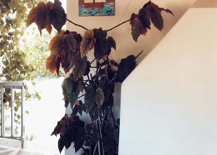 Panormitis House
