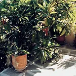 Appartement Panormitis House