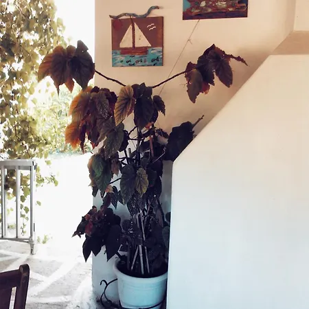Panormitis House