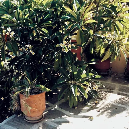 Apartamento Panormitis House