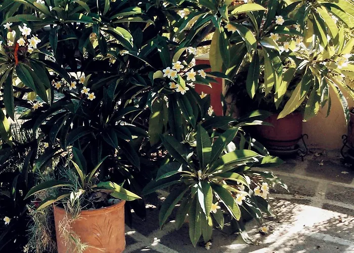 Appartamento Panormitis House